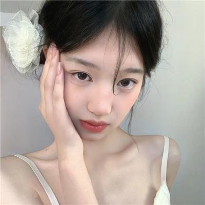总统班底